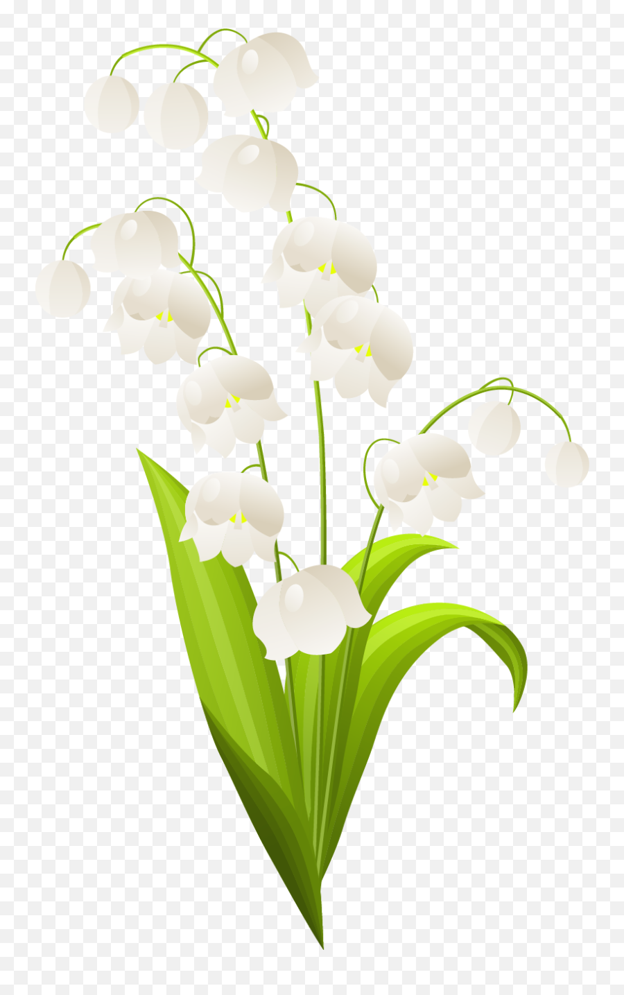 Clipart Borders Easter Lily Clipart - Transparent Lily Of The Valley Clip Art Emoji,Easter Lily Clipart