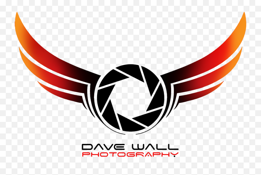 Download New Series - Dslr Photography Logo Png Full Size Photography Dslr Png Logo Emoji,Photography Logo