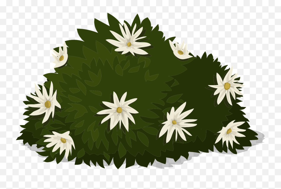 White Flowers Plants Greenery Png Emoji,Greenery Png