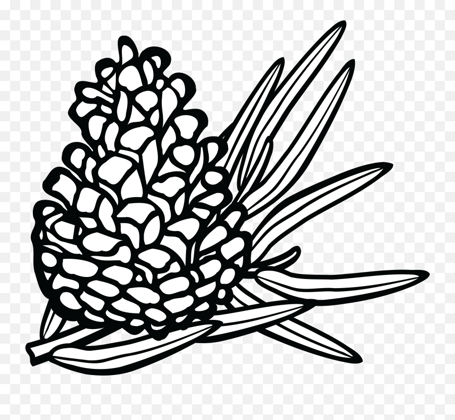Pine Cone Line Drawing At Getdrawings - Black And White Pine Cone Clipart Png Emoji,Pine Cone Clipart
