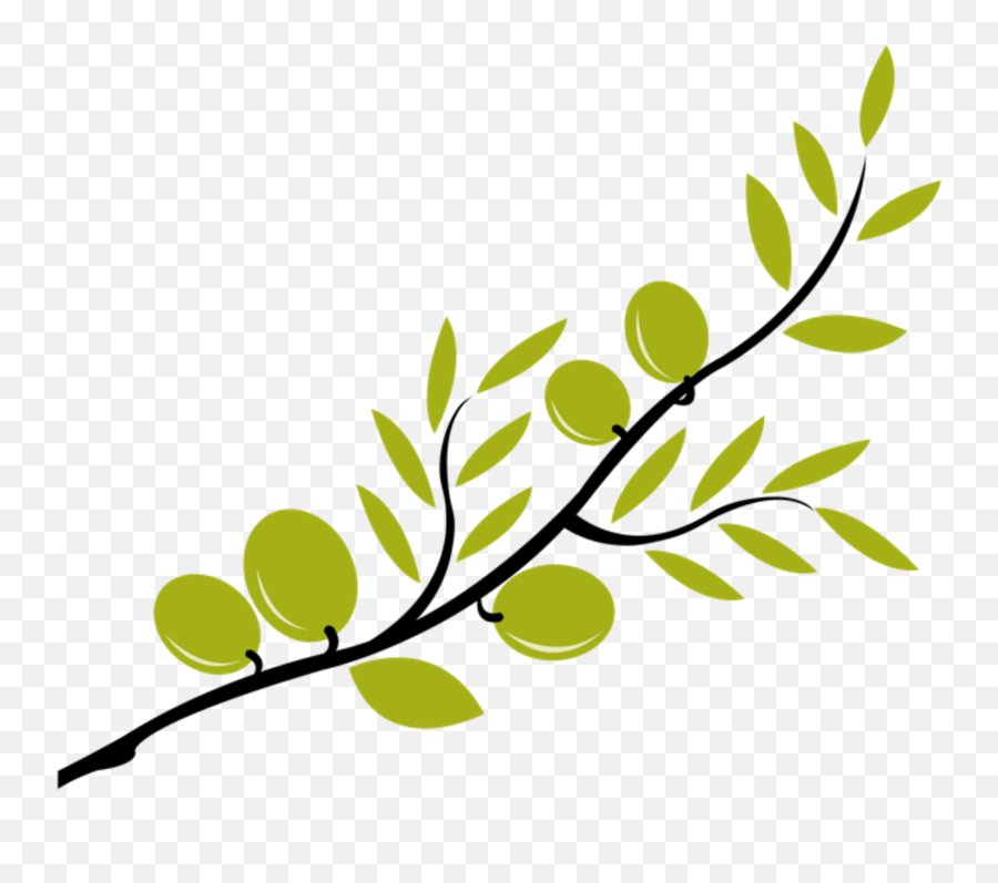 Olive Tree Branch Clip Art Png Image - Tree Branch Cute Clipart Emoji,Cute Clipart