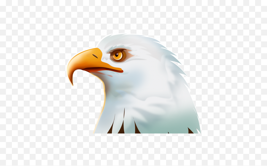 Eagle Hawk Kite Bird Png Image With Transparent Background - Bald Eagle Emoji,Bird Transparent Background