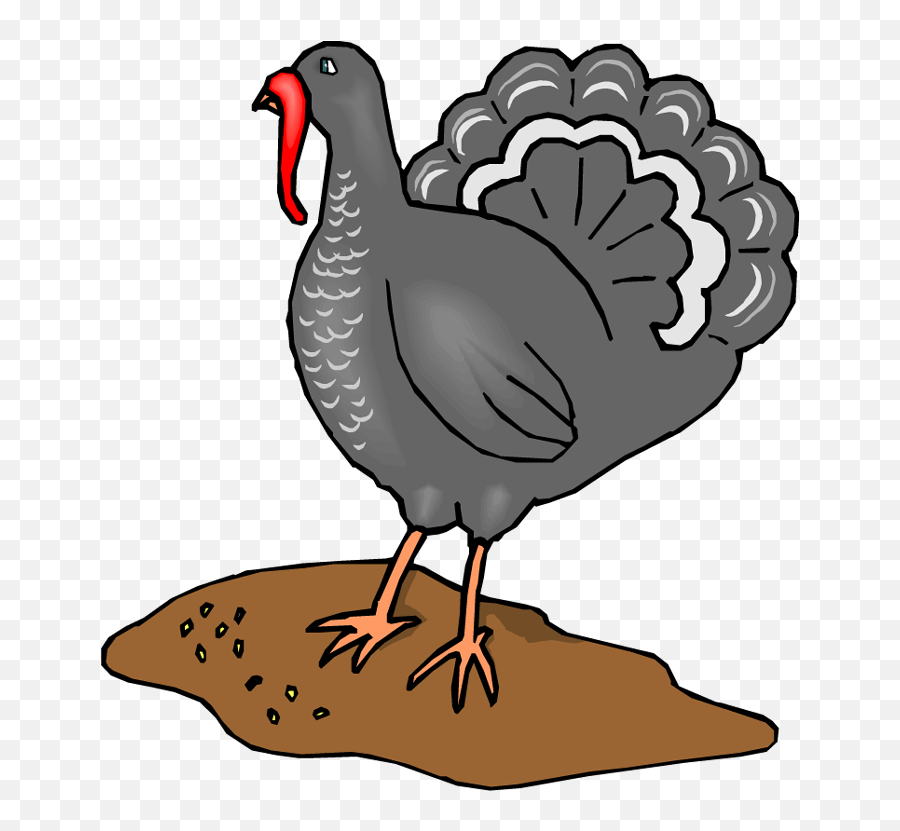 Turkey - Fowls Animals Clipart Turkey 698x750 Png Deer And Turkey Clipart Emoji,Farm Animals Clipart