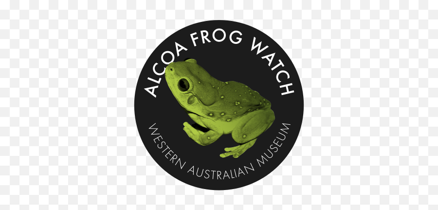 Giant Frog Western Australian Museum Emoji,Big Frog Logo