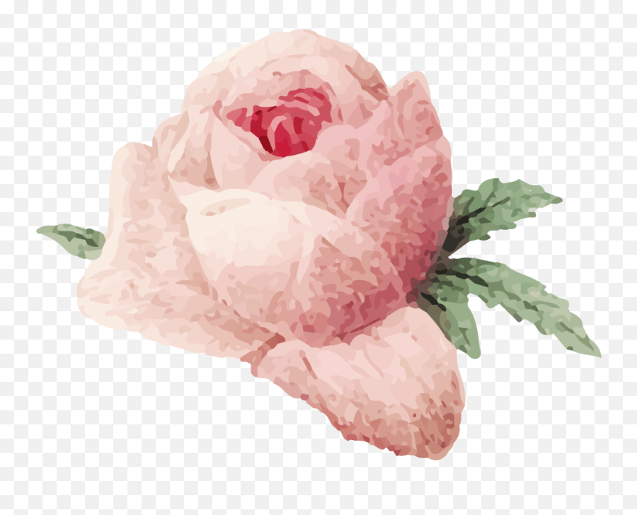 Rose Flower Rose Day Png - Rose Image Download Free Emoji,Watercolor Roses Png