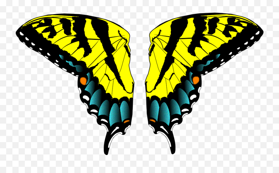 Free Photo Nature Butterfly Insect Wings Fly Colorful - Max Emoji,Like Moths To Flames Logo