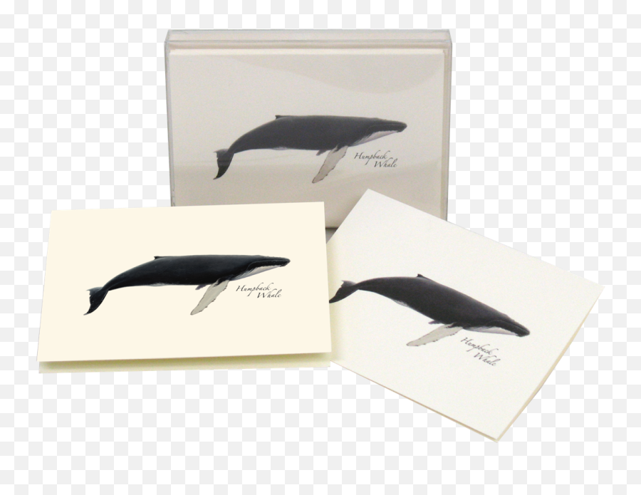 Humpback Whale Boxed Notes Emoji,Humpback Whale Png