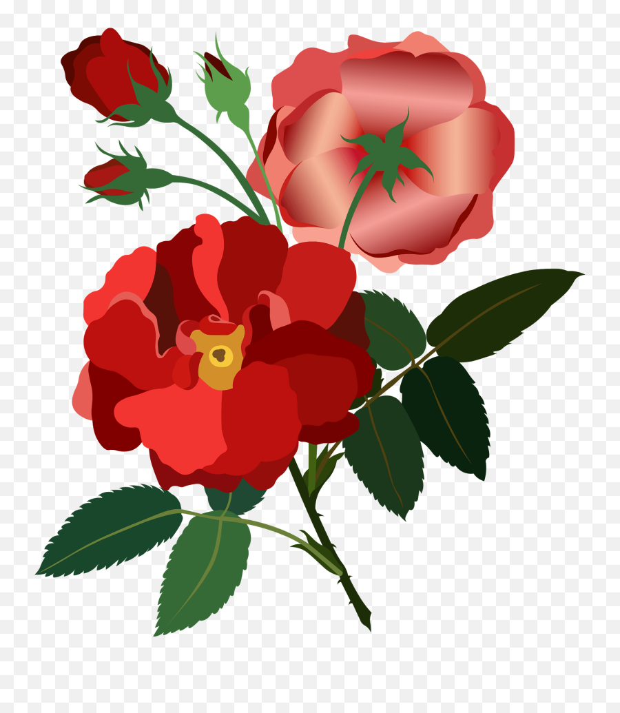 Red Rose Vintage Clipart Free Download Transparent Png - Floral Emoji,Vintage Clipart