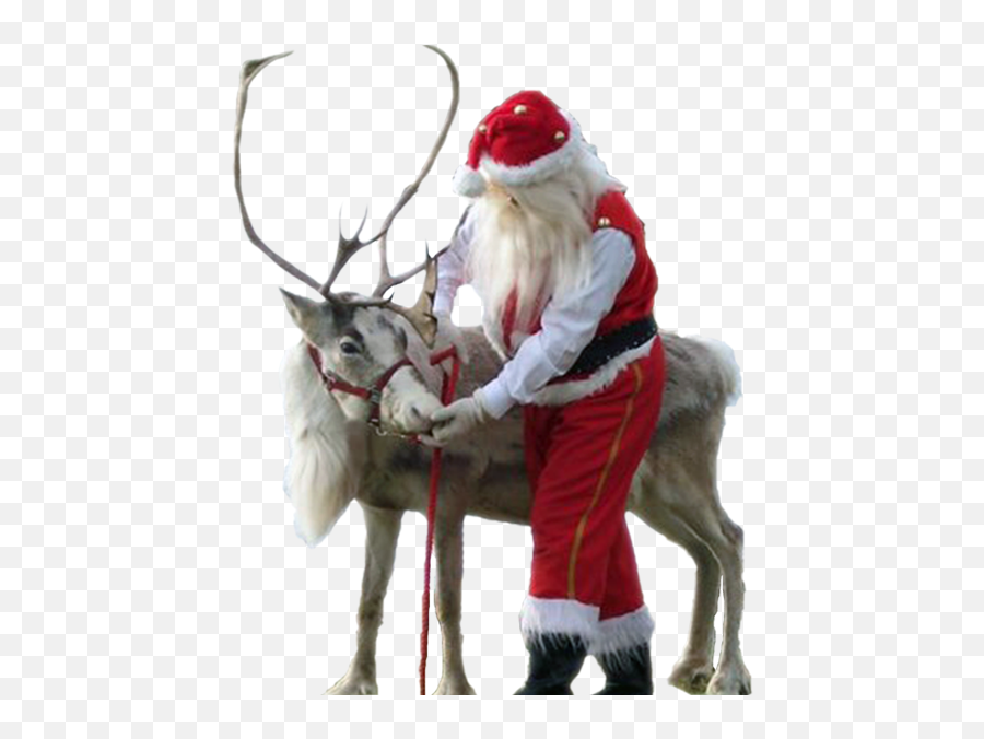 Reindeer Png Transparent Png Image - Realistic Photo Of Santa With Reindeer Emoji,Reindeer Png