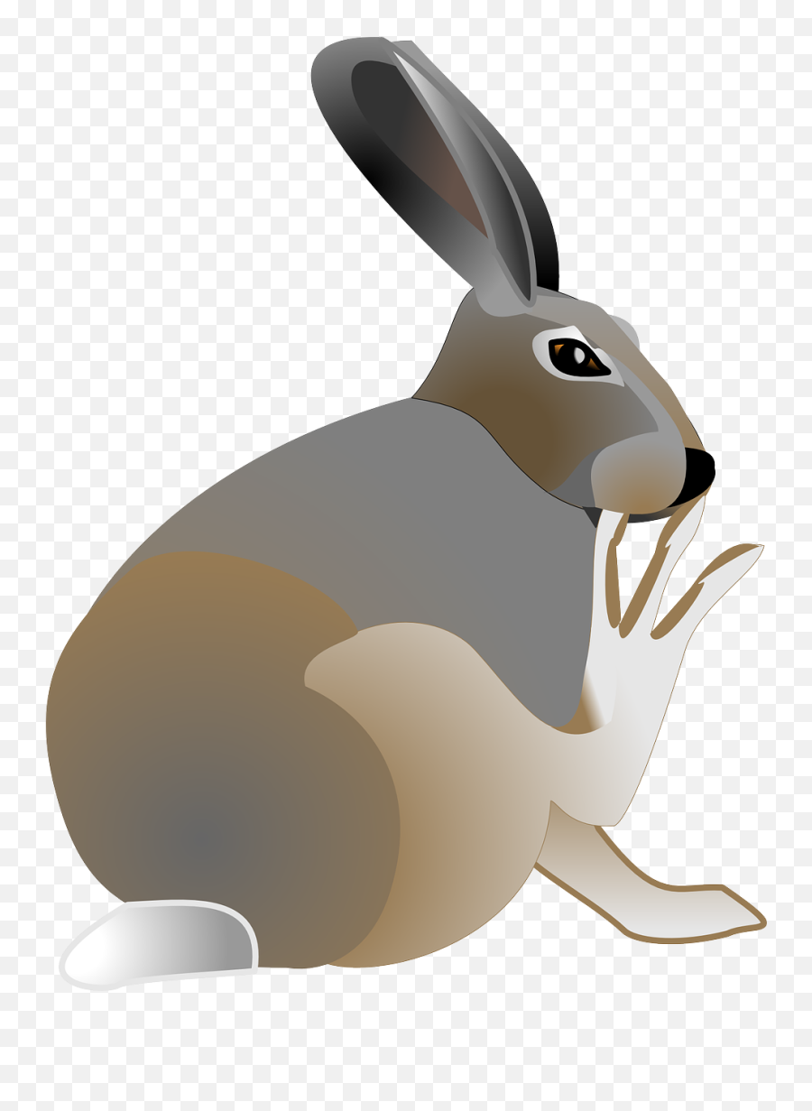 Free Easter Clipart - Jackrabbit Clip Art Free Emoji,Easter Clipart Free