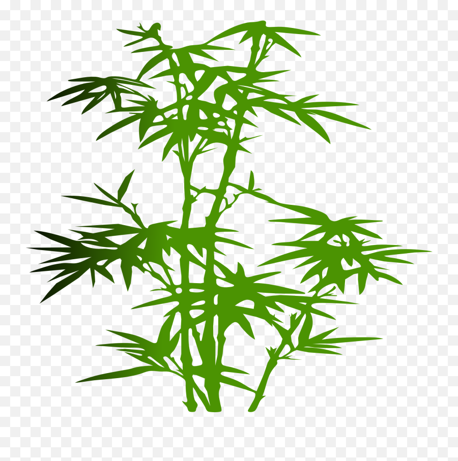 Green Bamboo Plant Clipart - Bamboo Clip Art Emoji,Plant Clipart