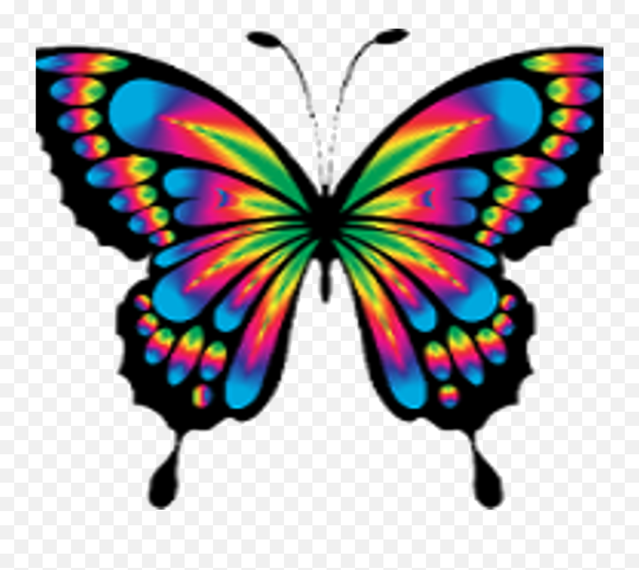 Butterfly - Colorful Butterfly Drawing Emoji,Butterfly Clipart
