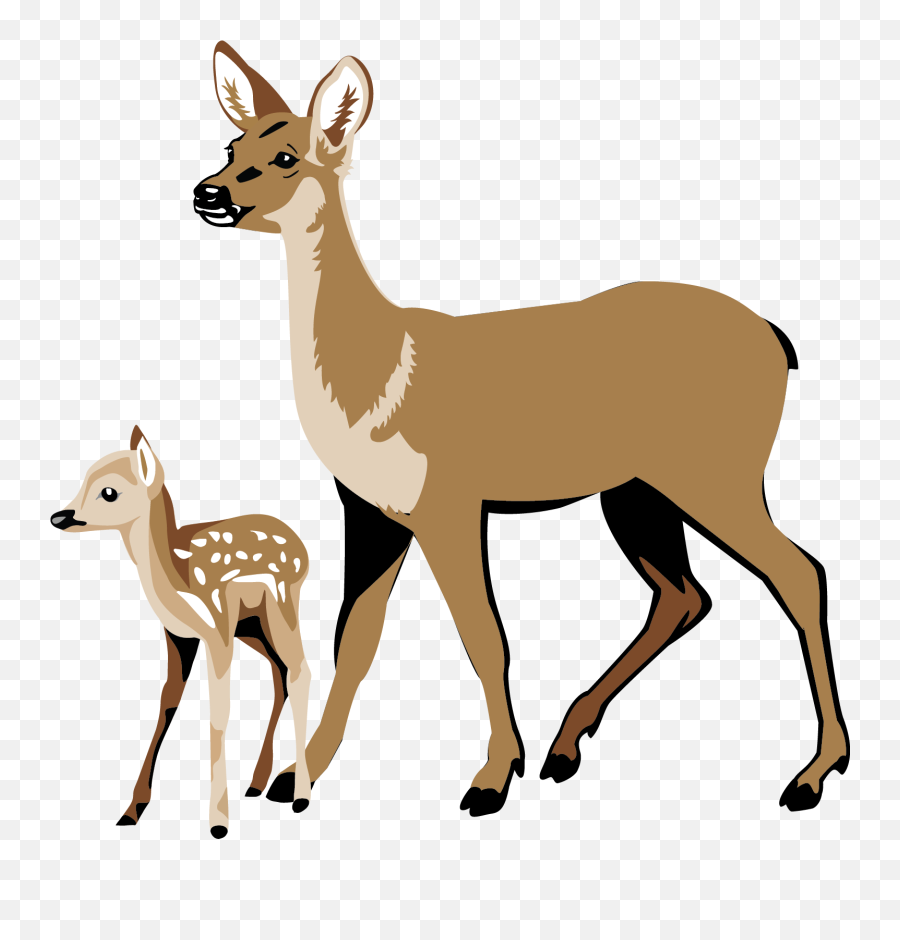 Whitetail Deer Clipart - White Tailed Deer Clipart Emoji,Deer Clipart
