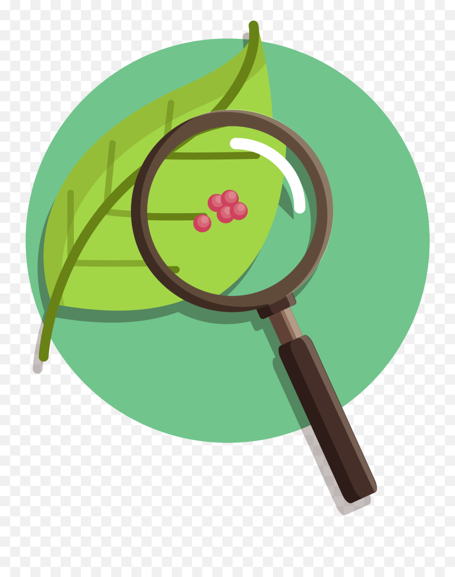 Download Nature Vs - Nurture Nature Vs Nurture Transparent Magnifying Glass Leaf Clipart Emoji,Vs Transparent Background