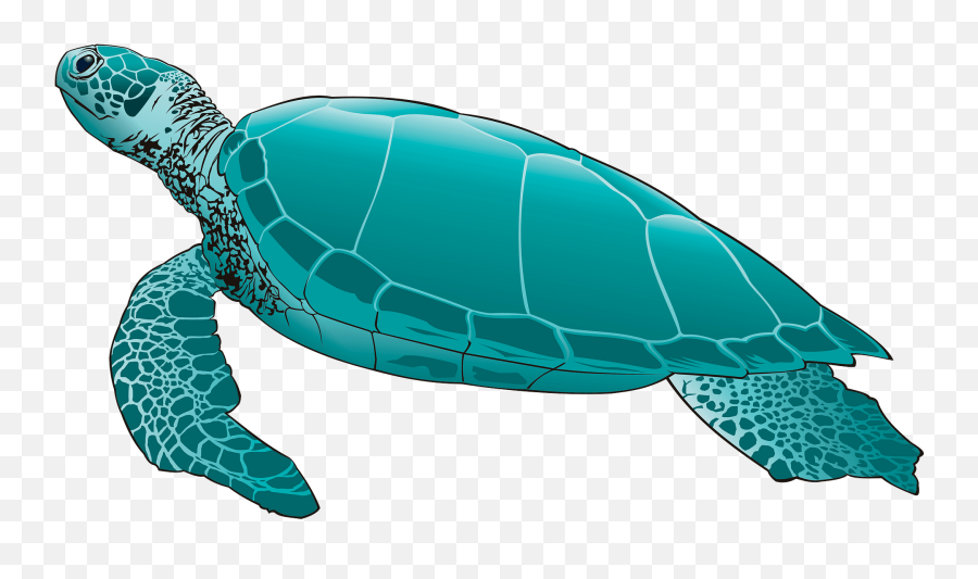 Sea Turtle Clipart Free Download Transparent Png Creazilla - Sea Turtle Clipart Emoji,Turtle Clipart