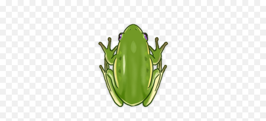Frog - Genshin Frog Emoji,Frog Png