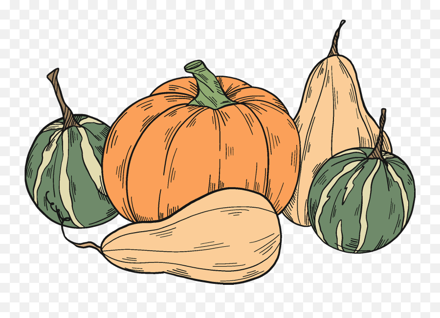 Pumpkin Patch Clipart Free Download Transparent Png - Superfood Emoji,Pumpkin Patch Clipart