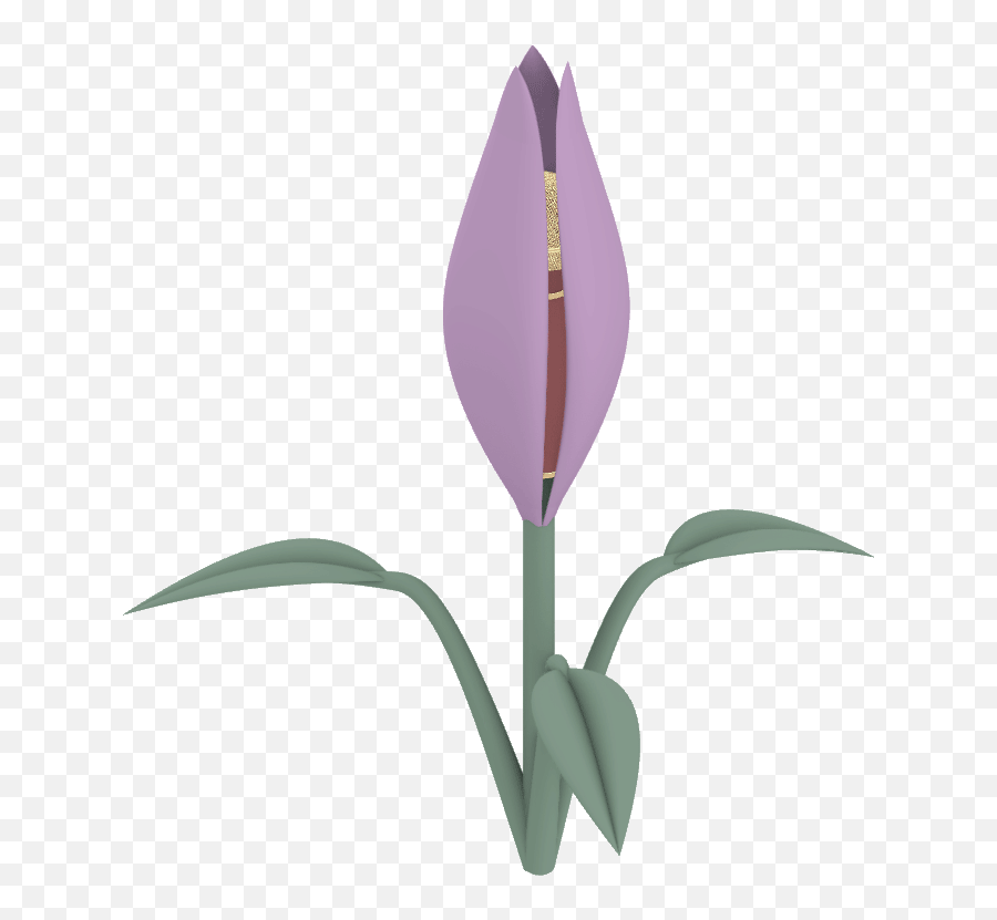 About Sonic Scenographies Animated Dancing Flowers - Tulip Emoji,Sonic Transparent