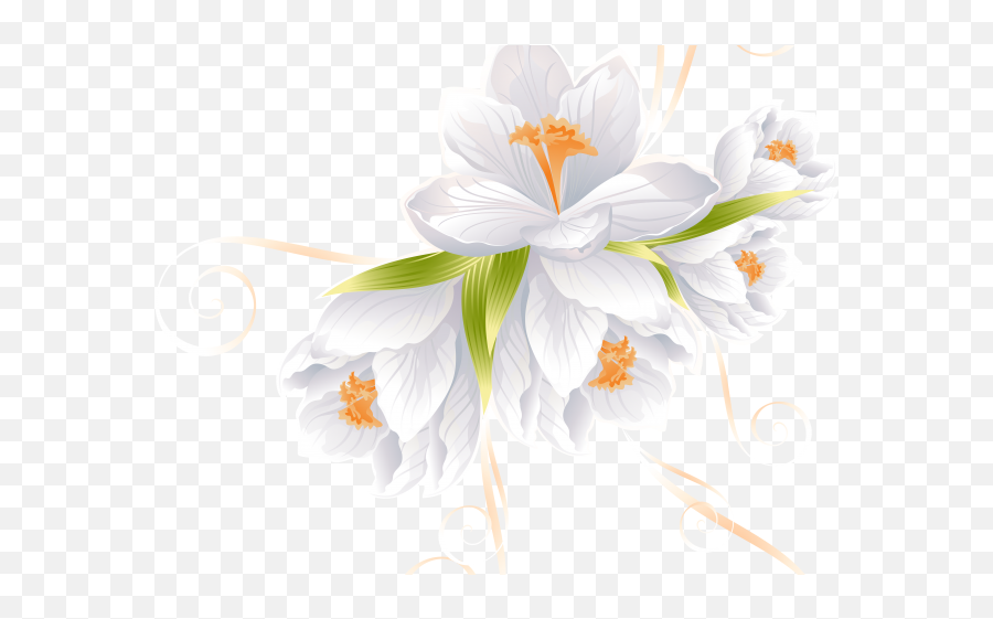 Vector Flowers Png Image With No - Clipart White Flowers Png Emoji,White Flower Png