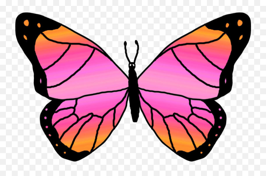 Butterflies Cartoon Butterfly Clipart - Simple Butterfly Clip Art Emoji,Butterfly Clipart
