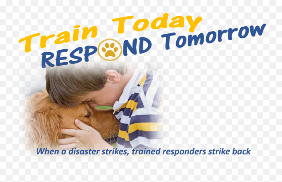 2019 Train Today Respond Tomorrow Kansas State Animal Emoji,Kansas State Logo