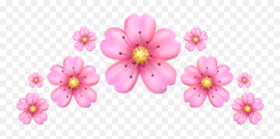 Pink Flower Emoji,Transparent Flower Emoji