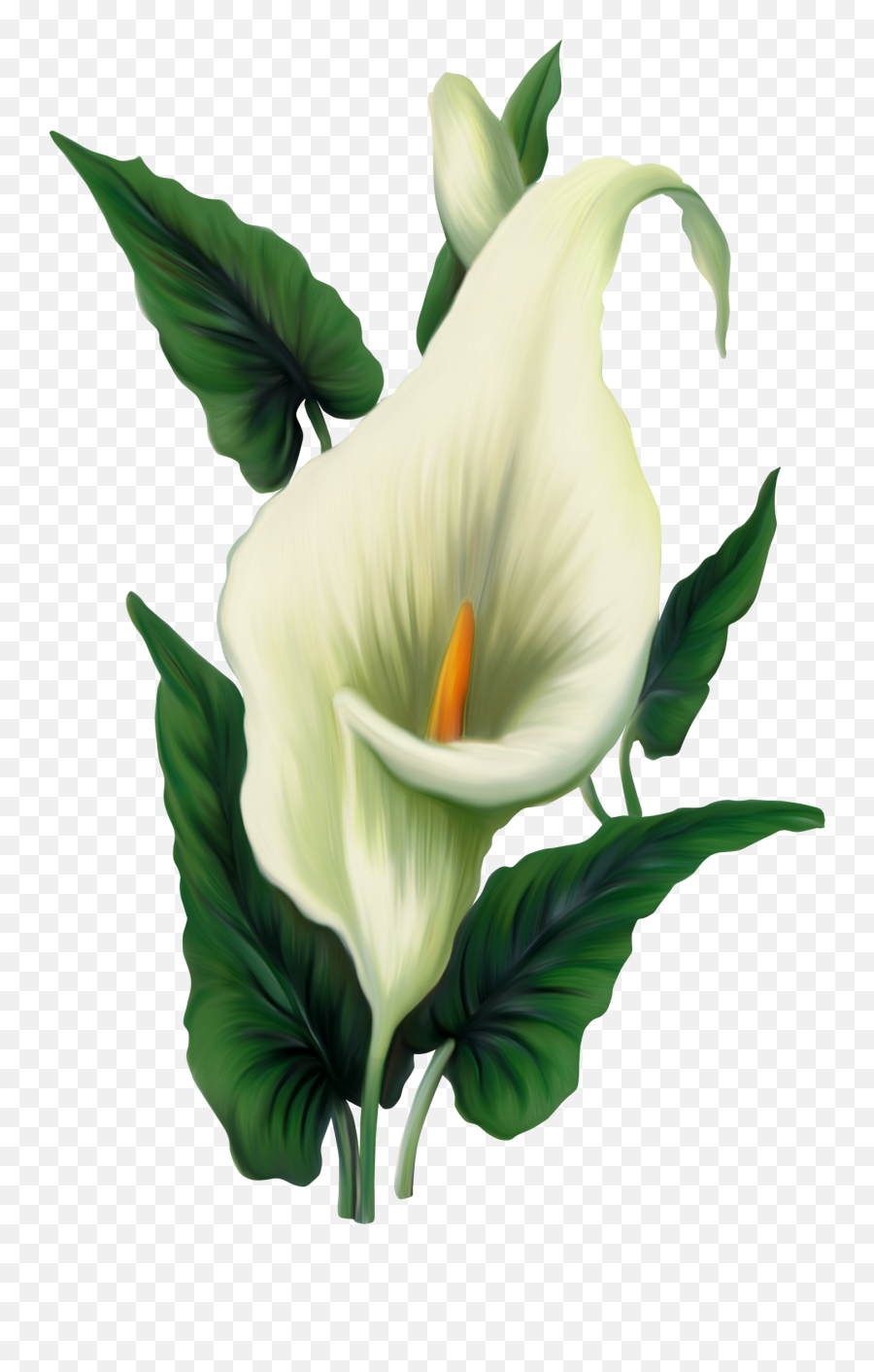 Library Of Easter Lily Cross Clip - Calla Lily Png Emoji,Easter Lily Clipart