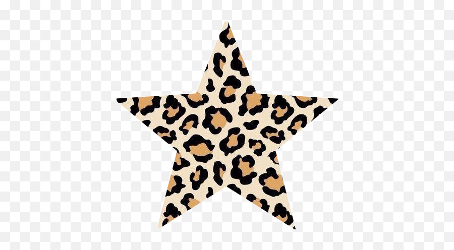 Vsco Star Background Png - Leopard Print Emoji,Star Transparent