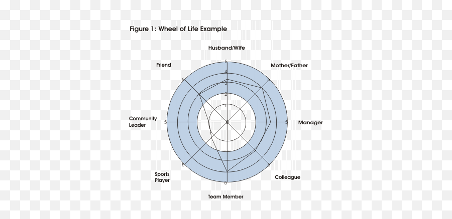 The Wheel Of Life - Goals And Balance Emoji,Wheel Of Time Logo