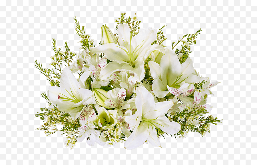 Oriental Lilies Delivered Asiatic Lilies Fromyouflowers Emoji,Lilies Png