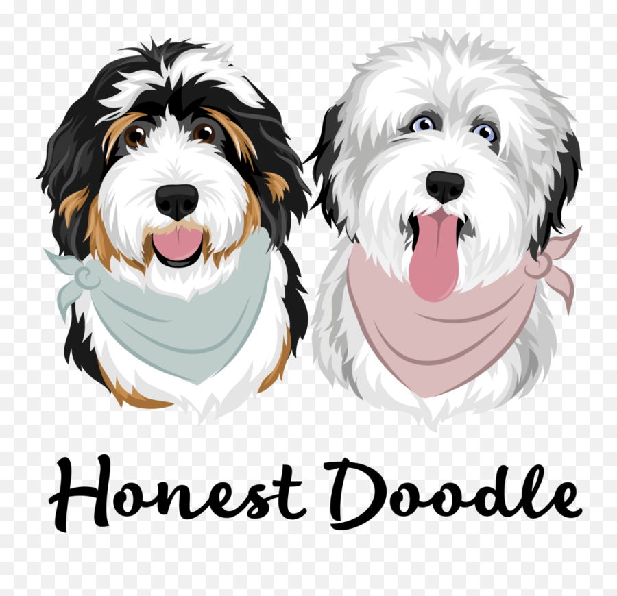 Honest Doodle Aussiedoodles - Your Puppy The Honest Way Emoji,Sheepdog Logo