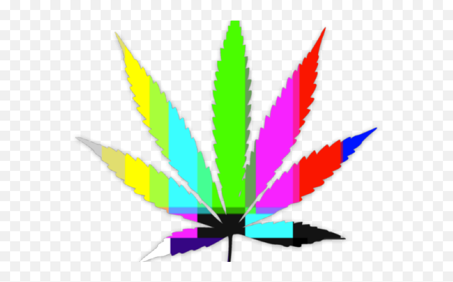 Hd Weed Leaf Transparent Png Image - Medical Marijuana Emoji,Weed Leaf Png