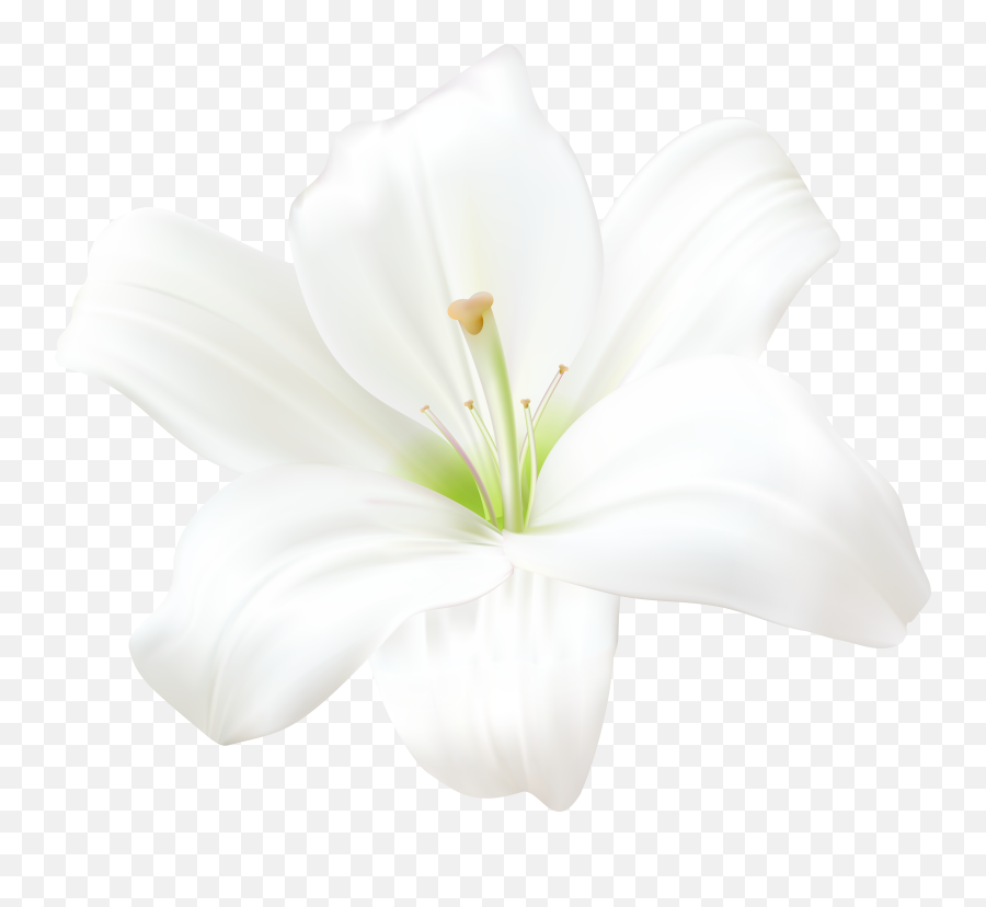Lily Clipart Pink Vine Transparent Emoji,Easter Lily Clipart