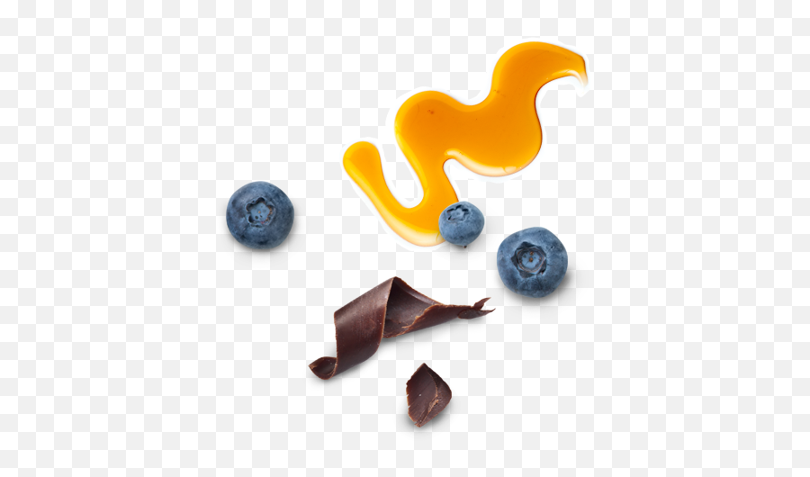 Duck Donuts - Types Of Chocolate Emoji,Duck Donuts Logo