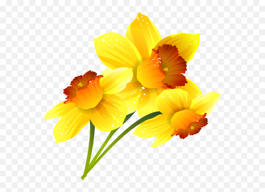 Daffodil Google Slides Flower Yellow For Easter - 800x762 Emoji,Yellow Flowers Png