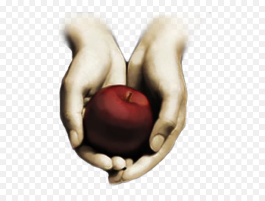 Twilight Clipart Apple - Twilight Book Full Size Png Emoji,Clipart Of Apple