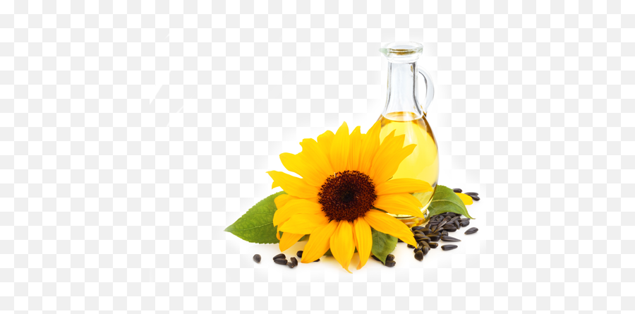 Sunflower Oil Transparent Free Png Png Play - Sunflower Seed Oil Png Emoji,Sunflower Transparent