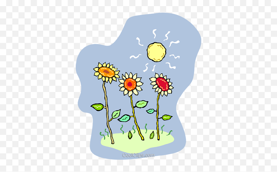 Sunflowers Growing In The Sun Royalty Free Vector Clip Art - Dot Emoji,Sunflowers Clipart