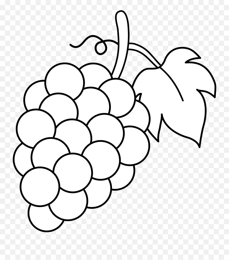 Clip Art Image Of Fruit Grape - Grape Clipart Black And White Png Emoji,Fruit Clipart