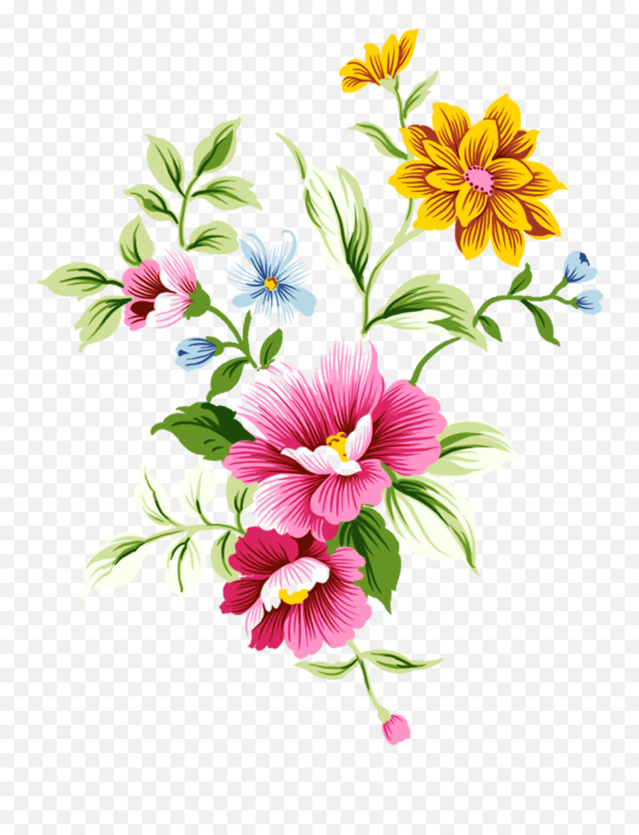 0 F84c4 C639c020 Orig Flower Art Flower Prints Elegant - Transparent Flower Png Emoji,Mexican Flowers Png