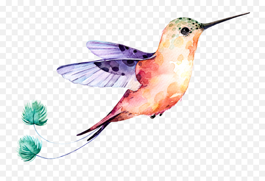 Flower Watercolor Hummingbird Png Clipart Png Mart - Watercolor Hummingbird With Flower Clip Art Emoji,Hummingbird Clipart