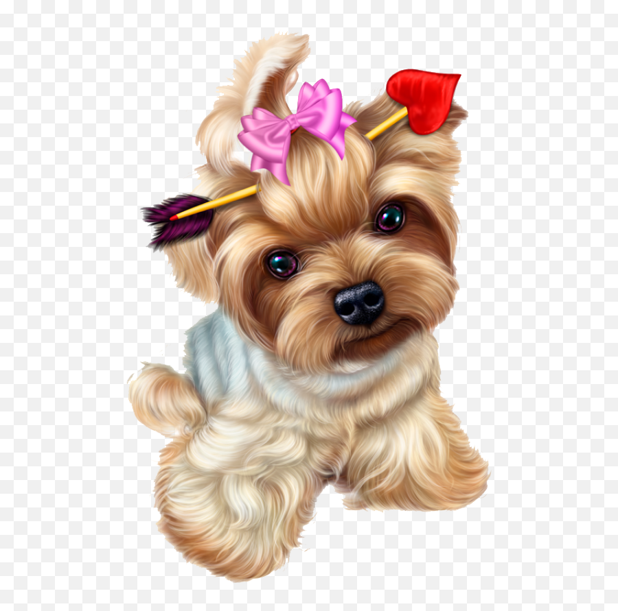 Buy Biewer Yorkshire Terrier Puppies Of Biewer Yorkshire - Valentine Puppy Png Emoji,Pomeranian Clipart