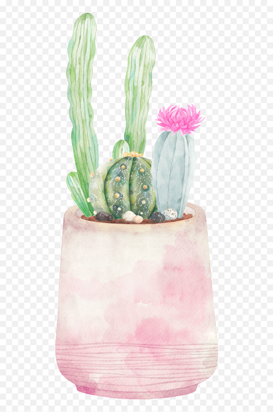 Download Hand - Painted Three Varieties Of Cactus Png San Pedro Cactus Emoji,Cactus Png