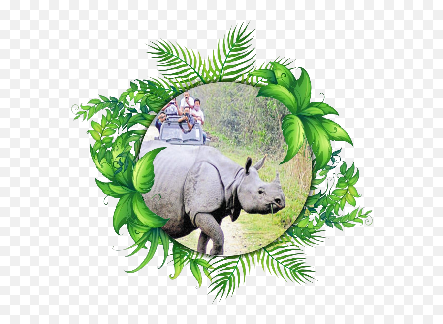 Jungle Clipart Rhino Picture 1458458 Jungle Clipart Rhino - Kaziranga National Park Drawing Emoji,Rhino Clipart