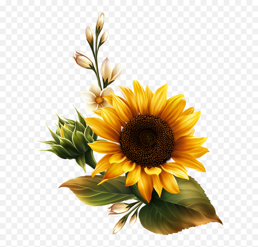 Mason Jar Sunflower Clip Art Free U2013 Hairstyle Reference - Girassol Png Emoji,Sunflowers Clipart