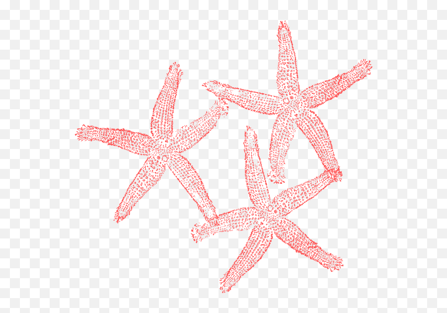 Coral Starfish Clip Art At Clker Emoji,Starfish Clipart