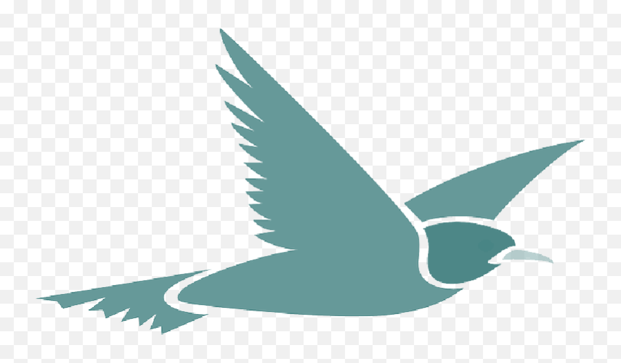 Download Mb Imagepng - Flying Bird Cartoon Transparent Flying Bird Png Cartoon Emoji,Bird Transparent Background