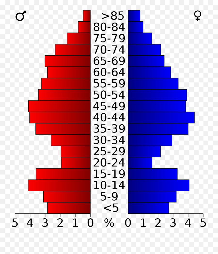 Usa Bandera County Texas Age - San Diego Population Pyramid Emoji,Bandera Usa Png