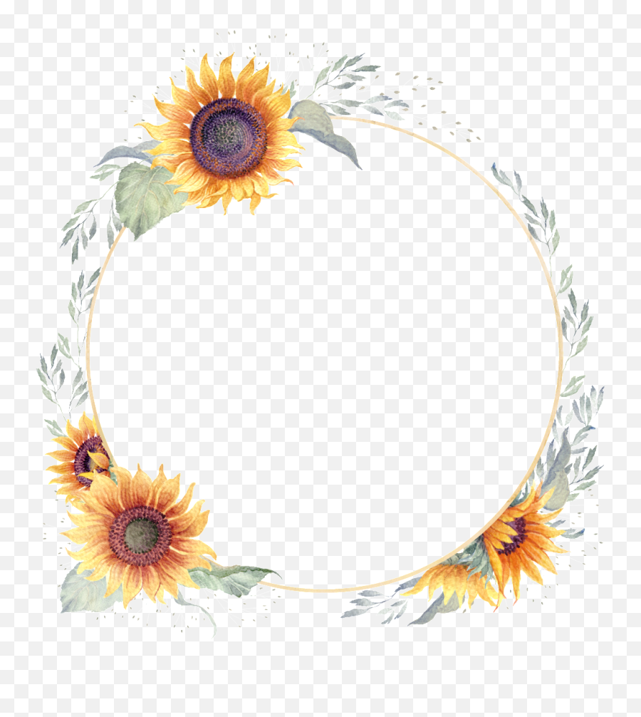 Download Watercolor Hand Painted Sunflower Transparent - Sunflower Frame Png Emoji,Sunflower Transparent