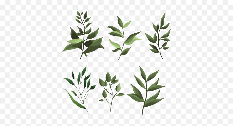 Greenery Leaf Plant Forest Herbs - Stickers Plante Emoji,Greenery Png